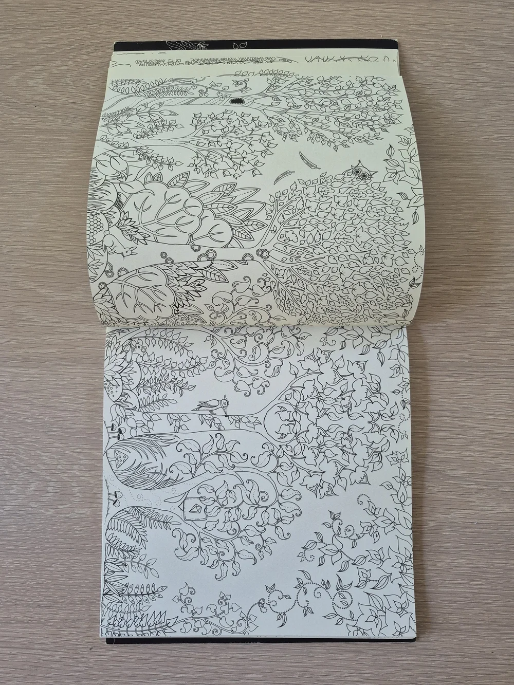 Enchanted Forest Coloring Book by — Cream & Gold